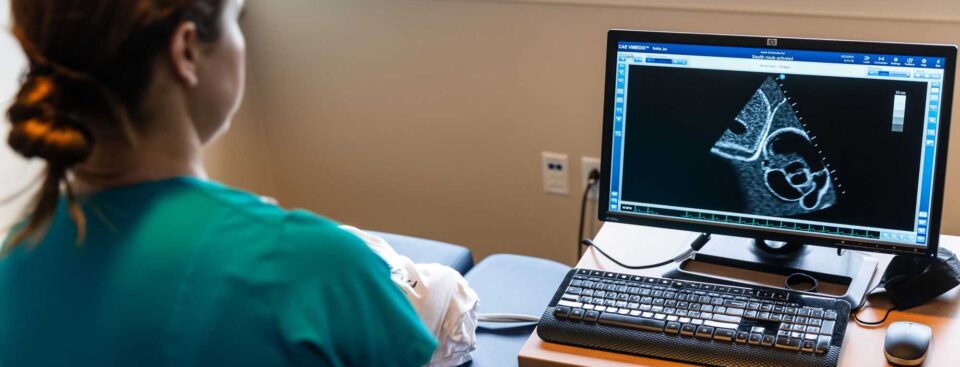 Sonography Academic And Career Programs Austin Community College   RS22539 20221103 RRC Cardiac Sonography Ca 391 Lpr1 960x367 